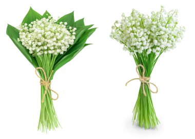 Vadideki Lilly çiçekleri beyaz arka planda izole edilmiş, geniş bir alana yayılmış.,