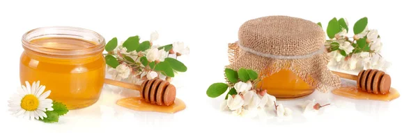 Honing Pot Met Bloemen Van Acacia Kamille Geïsoleerd Witte Achtergrond — Stockfoto