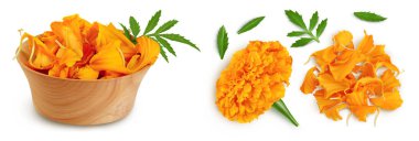 petals of fresh marigold or tagetes erecta flower in wooden bowl isolated on white background with full depth of field