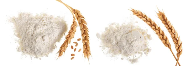 麦子的耳朵和面粉的一堆被隔绝在白色背景 顶部视图 — 图库照片