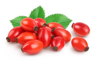 Rose kalçası beyaz bir arkaplanda tam derinlikte izole edilmiş..