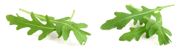 Green Fresh Rucola Arugula Leaf Isolated White Background Macro — Stock Photo, Image