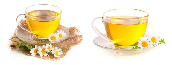 Ziołowe Herbaty Rumianku Świeże Kwiaty Worze Białym Tle — Zdjęcie stockowe