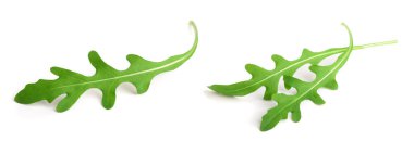 Beyaz arka plan makro'izole yeşil taze rucola veya roka yaprağı.