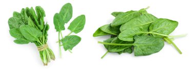 taze ıspanak üzerinde beyaz arka plan izole. Üstten Görünüm. Düz yatıyordu.