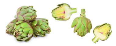 Beyaz arka planda izole taze enginar.