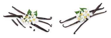 Çiçek ve yaprak beyaz arka plan üzerinde izole ile vanilya çubukları.