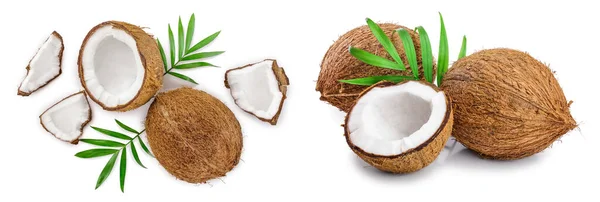 Kokosnuss Mit Blättern Auf Weißem Hintergrund Ansicht Von Oben Flache — Stockfoto