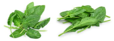 taze ıspanak üzerinde beyaz arka plan izole. Üstten Görünüm. Düz yatıyordu.