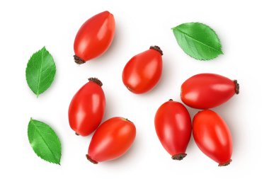 Rose kalçası beyaz arka planda izole edilmiş, geniş bir alana yayılmış. Üst Manzara. Düz yatıyordu