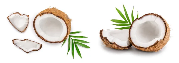 Kokosnuss Mit Blättern Auf Weißem Hintergrund Ansicht Von Oben Flache — Stockfoto