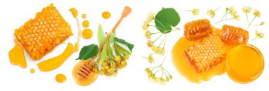 Honeycombs and honey puddle with stick and Linden flowers isolated on white background. Top view. Flat lay.