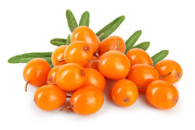 Deniz topalak. Beyaz arka plan makro'izole taze olgun berry.