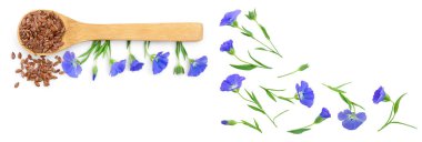 Tahta kaşıkta keten tohumu ve beyaz arka planda izole edilmiş çiçek.