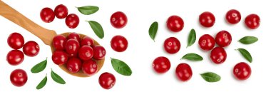 Beyaz arka planda yaban mersini ve ahşap kaşık. Üst Manzara. Düz yatıyordu,