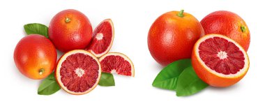 Kan kırmızısı portakallar beyaz arka planda izole edilmiş. Üst Manzara. Düz yatıyordu.