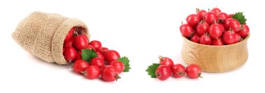Hawthorn berry yaprak beyaz arka plan yakın çekim izole çuval bezi çanta.