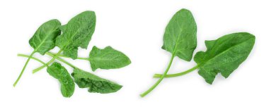 taze ıspanak üzerinde beyaz arka plan izole. Üstten Görünüm. Düz yatıyordu.