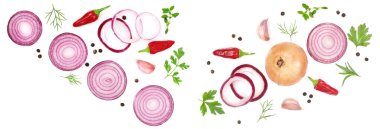 soğan, sarımsak, acı biber ve baharat beyaz arka plan üzerinde izole. Üstten Görünüm.