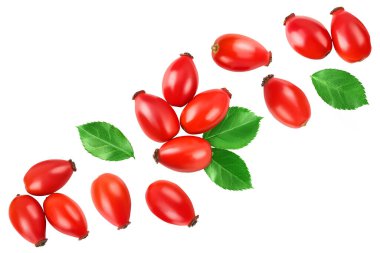 Rose kalçası beyaz arka planda izole edilmiş, geniş bir alana yayılmış. Üst Manzara. Düz yatıyordu