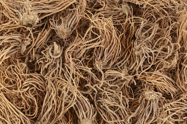 stock image Dried Valerian root background. Valeriana officinalis with full depth of field. Top view. Flat lay.