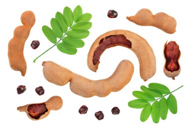 Beyaz arka plan üzerinde izole tohum ile Demirhindi meyve, Üst görünüm. Düz yatıyordu. Ayarlama veya toplama.