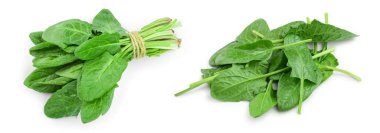 taze ıspanak üzerinde beyaz arka plan izole. Üstten Görünüm. Düz yatıyordu.