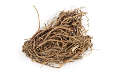 Kurutulmuş Valerian kökü beyaz arka planda izole edilmiş. Valeriana yetkilileri, geniş bir alana yayıldılar. Üst Manzara. Düz yatıyordu.