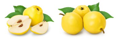 Fresh cut quince isolated on the white background with  full depth of field.