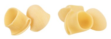 Lumaconi makarnası beyaz arka planda izole edilmiş, geniş bir alana yayılmış. Üst Manzara. Düz yatıyordu.