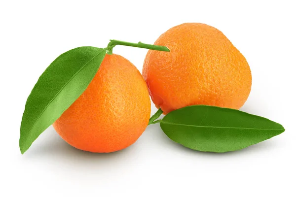 Tangerine Clementine Green Leaf Isolated White Background Full Depth Field — Stock Photo, Image