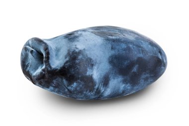 Fresh honeysuckle blue berry isolated on white background with full depth of field.