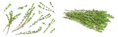 fresh thyme isolated on a white background with  full depth of field, Top view. Flat lay,