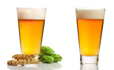 bardak köpüklü bira hop koniler ve beyaz arka plan üzerinde izole buğday ile.