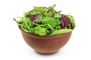 Salata - roka, ıspanak ve pazı beyaz arka planda izole edilmiş kasede..