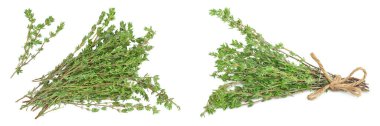 fresh thyme isolated on a white background with  full depth of field, Top view. Flat lay,
