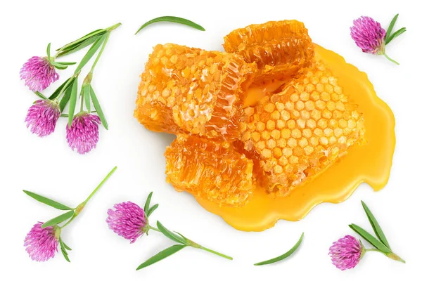 Honungs Kammar Och Honung Pöl Med Klöver Blomma Isolerad Vit — Stockfoto