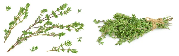 Fresh Thyme Isolated White Background Full Depth Field Top View — Foto de Stock