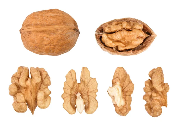 stock image Walnuts isolated on white background. Top view. Flat lay. Set or collection.