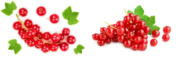 Red Currant Berry Isolated White Background Top View Flat Lay — Stock Photo, Image