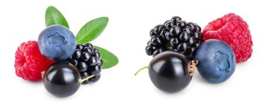 beyaz arka plan üzerinde izole yaprak ile böğürtlen yaban mersini ahududu karışımı