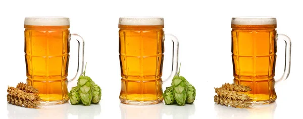 Glas Schuimend Bier Met Hopbellen Tarwe Geïsoleerd Witte Achtergrond — Stockfoto