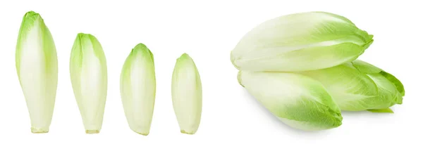 Chicory Salad Isolated White Background Full Depth Field Top View — Stock Photo, Image