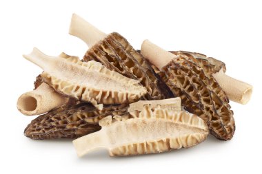 Çiğ morel mantarı, beyaz arka planda tam derinlikte izole edilmiş..