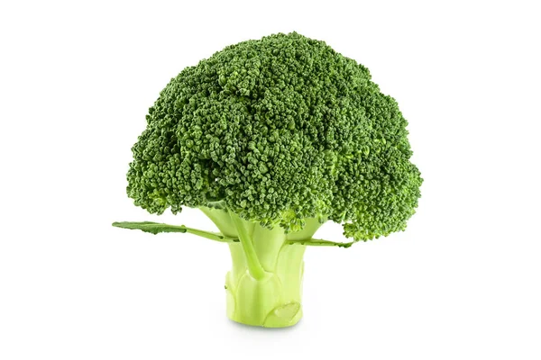 Fresh Broccoli Isolated White Background Close Full Depth Field — Stock Photo, Image