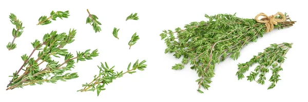 Fresh Thyme Isolated White Background Full Depth Field Top View — Stockfoto