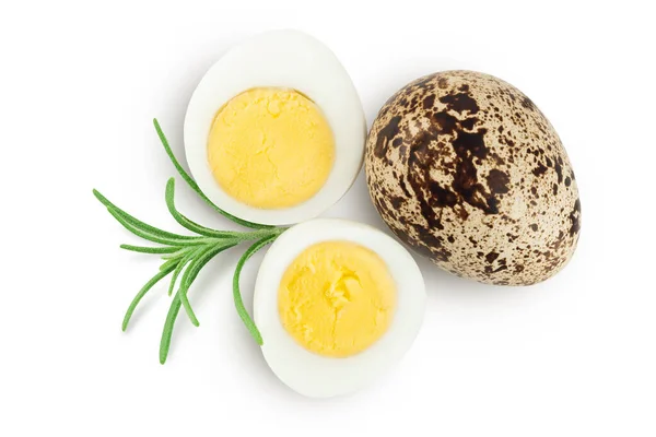 煮熟的鹌鹑蛋 在白色背景下与全场深度隔离 顶部视图 平躺在床上 — 图库照片