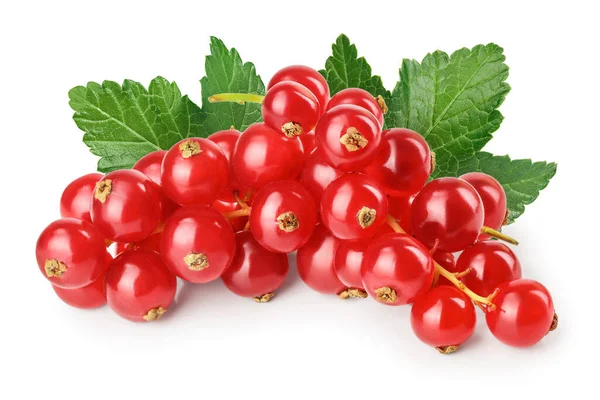 Merah Currant Berry Diisolasi Pada Latar Belakang Putih — Stok Foto
