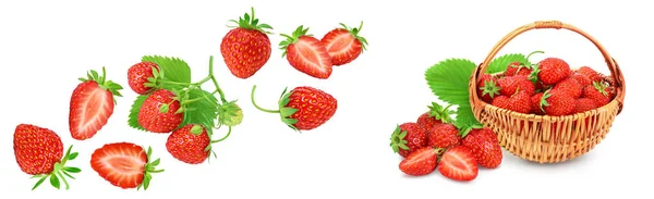草莓在白色背景上被分离出来 并为您的文本提供复制空间 顶部视图 平铺图案 — 图库照片