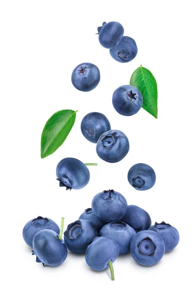 Fresh Blueberry Isolated White Background Closeup Full Depth Field — Stock Photo, Image